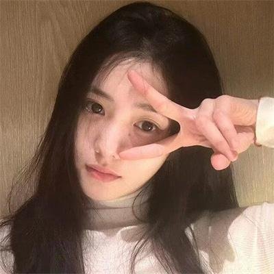 黑眉蚊